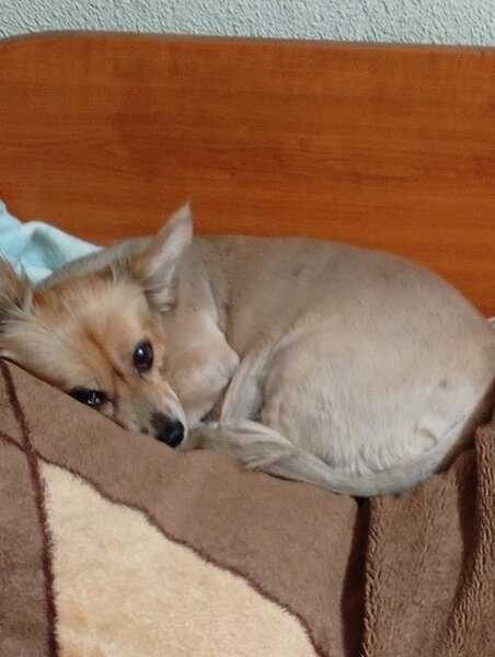 In zi sfanta in ziua de vineri