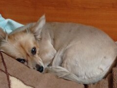 In zi sfanta in ziua de vineri